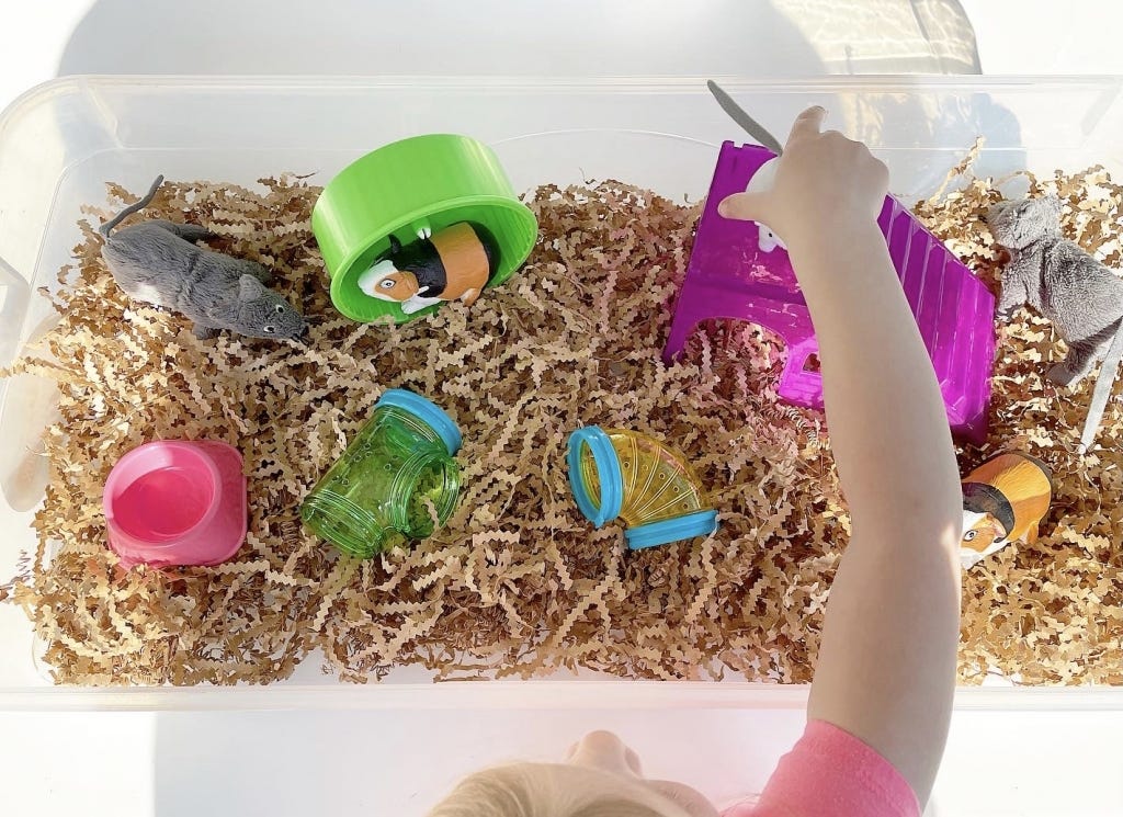 Essential Hamster Sensory Play Ideas for Engaging Fun