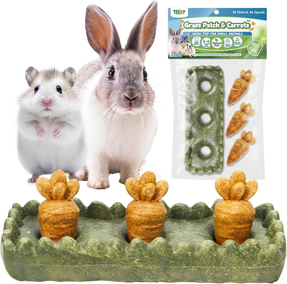 7 Essential Tips for Hamster Enrichment with Natural Materials