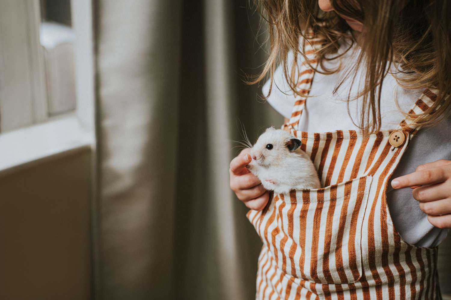 7 Best Hamster Breeds for Fun and Friendly Companionship