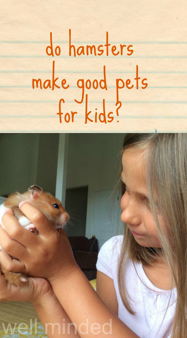 Discover the 5 Best Hamsters for Active Families