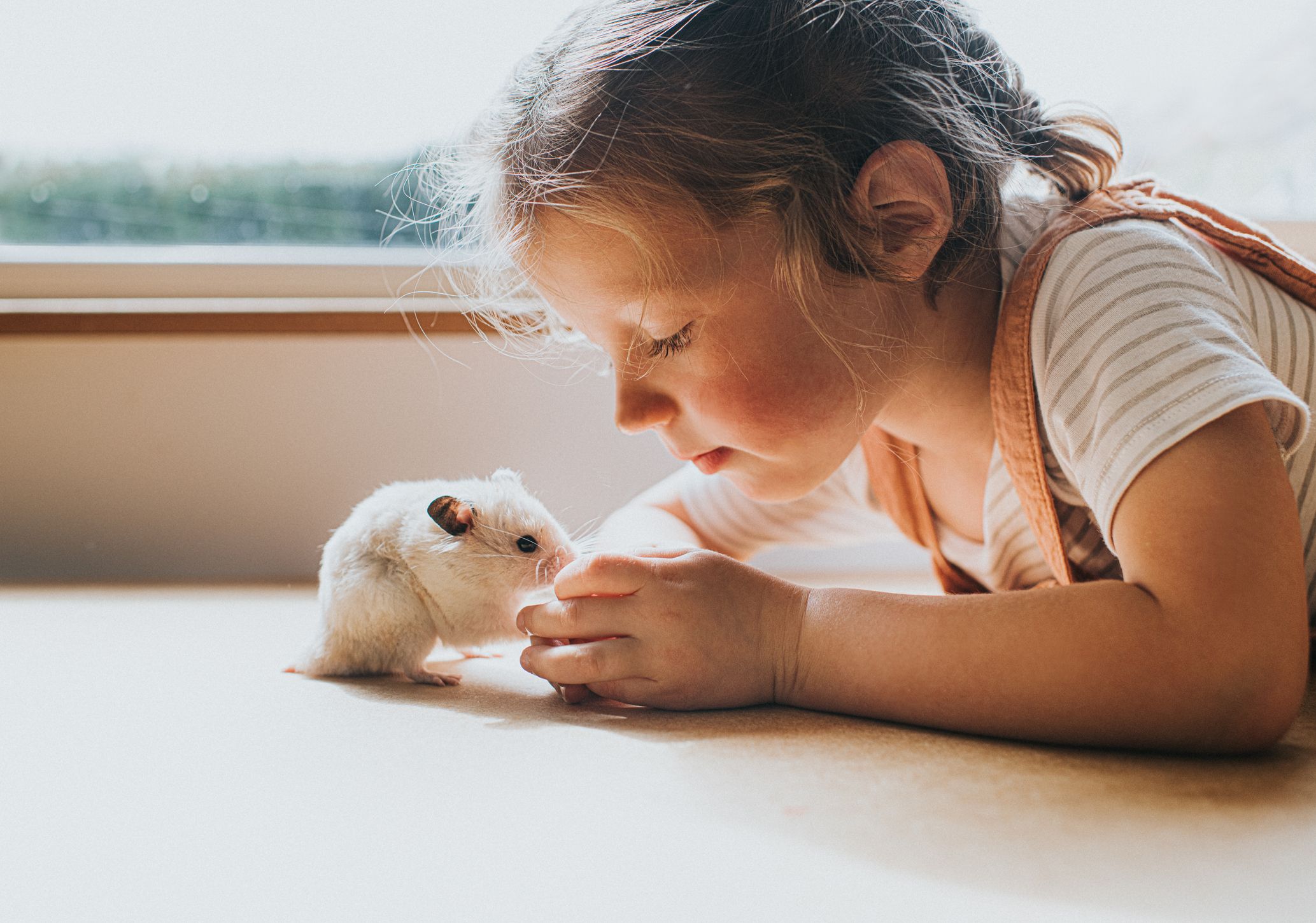 Essential Guide to the 5 Best Hamster Breeds for Kids